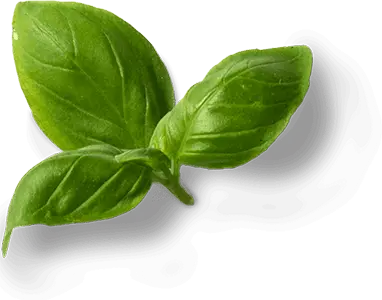 Chatni Indian Restaurant